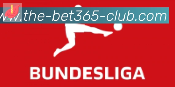 bet365在线体育合作伙伴